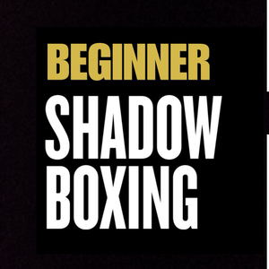 Beginner Shadow Boxing Workout Series