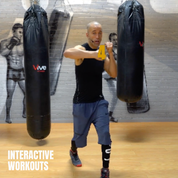 Interactive Shadow Boxing Workout Series