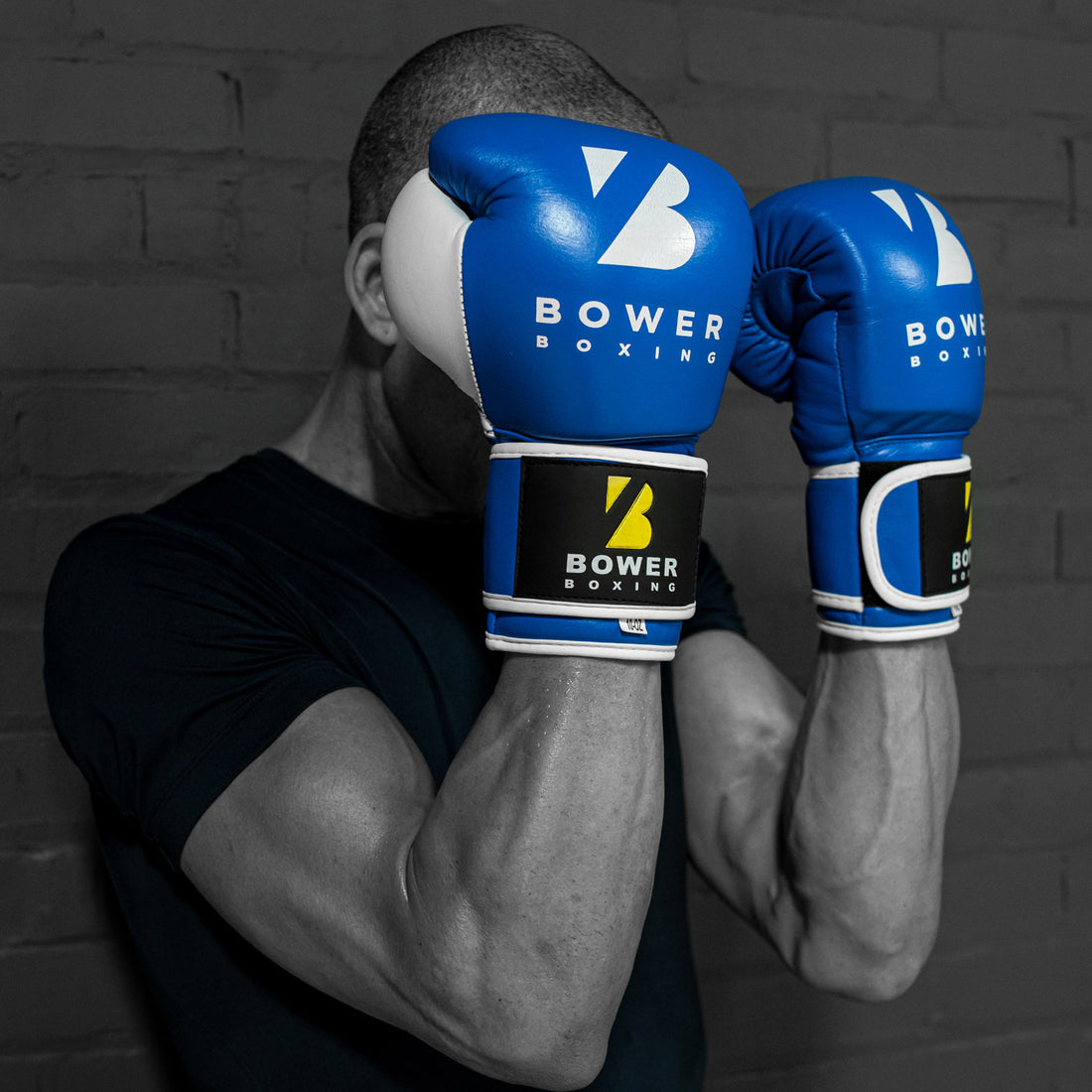 Heavy Bag Boxing Elite Gloves Nate Bower Fitness Shop